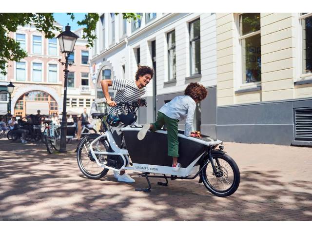  Urban Arrow Family Active Line Plus