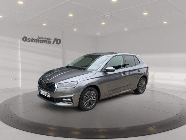 Skoda Fabia  1.0 TSI DSG Tour Voll-LED Kamera PDC  ACC