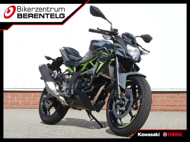 Kawasaki Z 125  Z125 BR125L