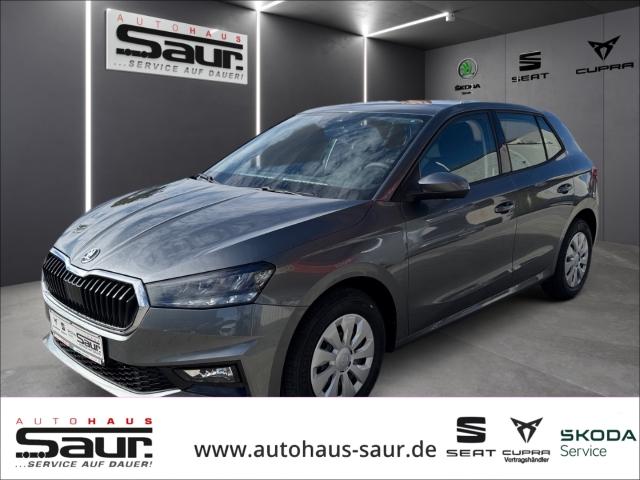 Skoda Fabia  Selection 1.0 TSI KLIMA SHZ LED PDC SMARTLINK DAB+ SERVO